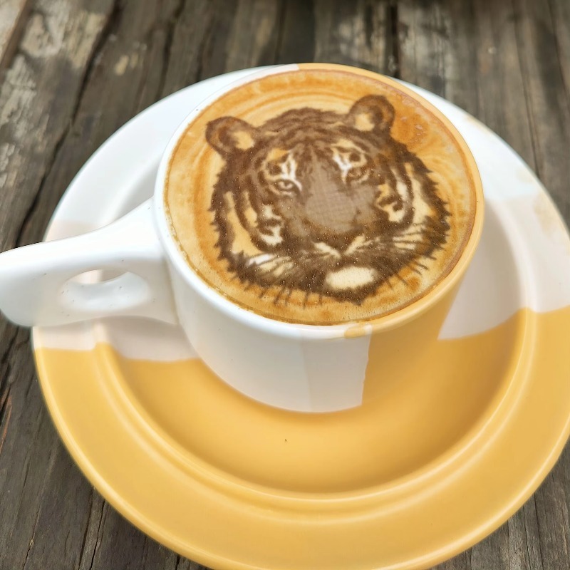 Nueva Tendencia en Suministros - Coffee Equipment And Supplies reseña y precio